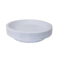 Big Disposable Plastic Plates - 50 per pack