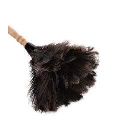 Feather Dust Removal Brush