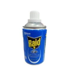 Raid Flying Insect Killer Spray - 269 ml